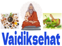 vaidiksehat.com